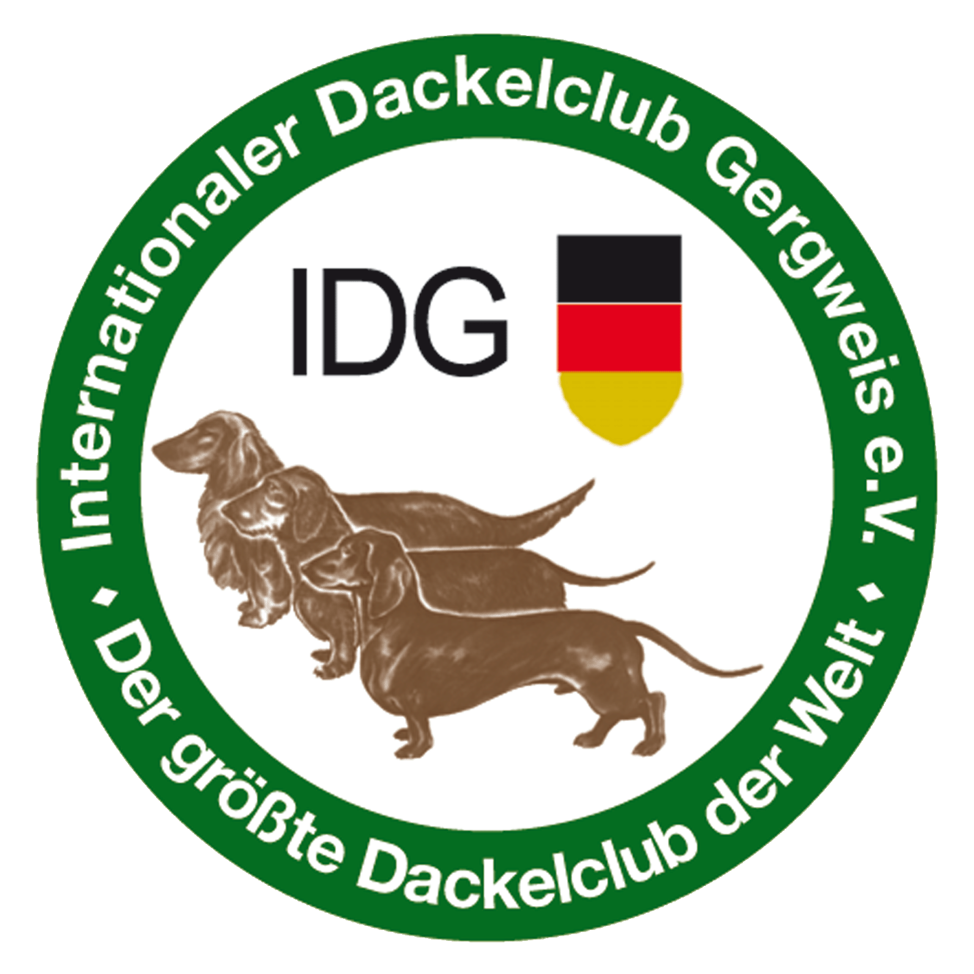 IDG-Logo